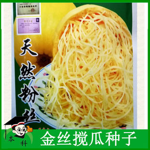 寿光蔬菜【金丝搅瓜种子】崇明金瓜角绞瓜籽高产春秋季满包邮