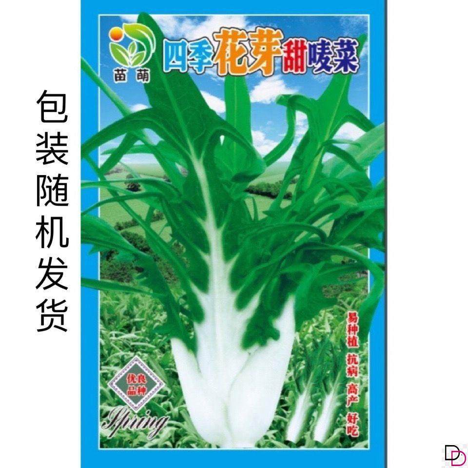 四季花芽甜麦菜种子花叶开丫苦麦菜甜脆爽口庭院四季蔬菜种子籽,鲜花速递/花卉仿真/绿植园艺,家庭园艺种子,淘宝优惠券,粉丝福利购,淘宝优惠卷