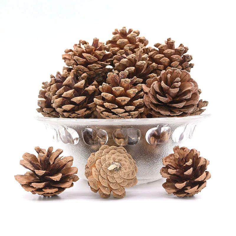 PineCones 3 to 4cm Natural Pine Cones for Christmas e Decor