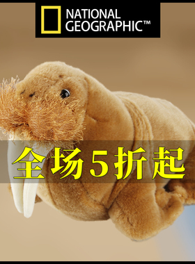 国家地理毛绒玩具仿真海象玩偶公仔娃娃Nationa Geographic宝宝