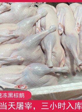 新鲜现杀油脂厚95日龄