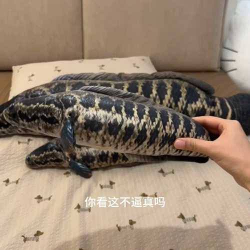 仿真黑鱼抱枕热带鱼玩偶观赏鱼睡觉夹腿公仔家居好物靠垫陪睡