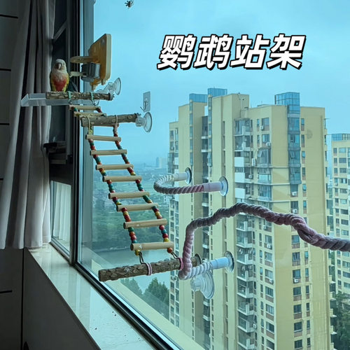站架吸盘虎皮玄凤牡丹攀爬云梯玩具棉绳磨爪吊桥解闷互动训练