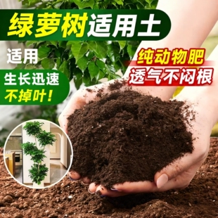 绿萝适用土花土适用土保湿 有机营养土疏松透气养花适用土壤种植土