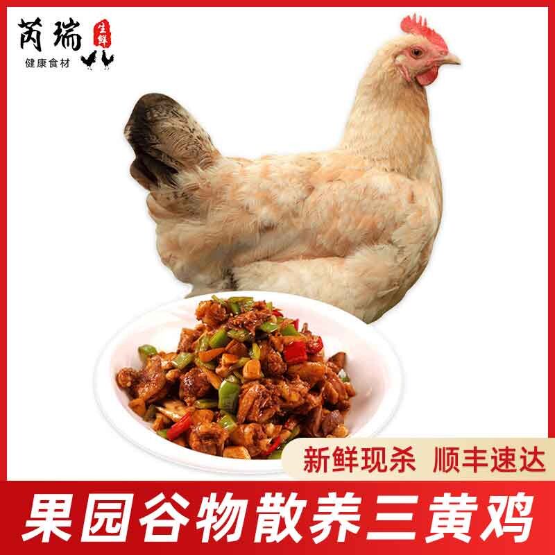 土鸡农家散养三黄鸡月子鸡走地鸡柴鸡新鲜宰杀鸡肉顺丰包邮怎么样,好用不?