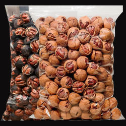 2025新货宁国山核桃野生手剥小核桃小胡桃水煮安徽特产坚果好零食