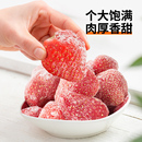 素坊丹東草莓5袋新鮮冷凍莓果水果99草莓甜大顆四季 冰凍九九速凍