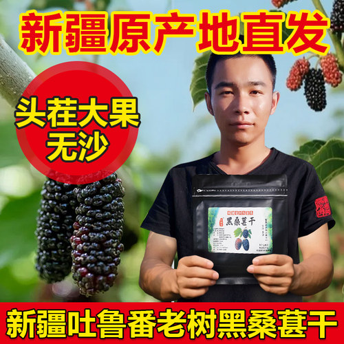 新疆吐鲁番头茬大果黑桑葚干