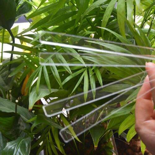 24 Pcs Plant Pots Indoor Garden Tag Succulent Labels Tags