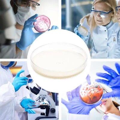 10pcs Agar Plates Prepoured Agar Petri Dishes Tissue