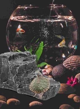 Turtle Tank Terrace Landscaping Animal Tortoise Resting