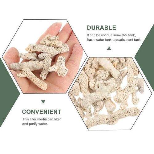 Coral Bone Sand Aquarium Filter Media Freshwater Saltwater