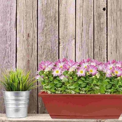 6 Pcs Planter Flower Pots Indoor Garden Bonsai Holder