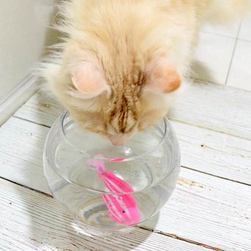 Fun Battery-Powered Fish For Cats, Cat Toy Cat Fish With Tou