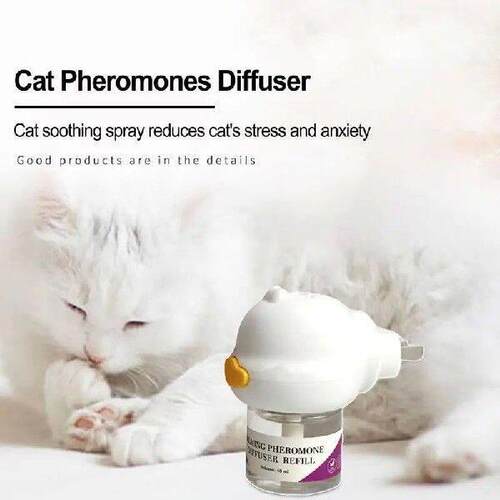 Cat Calming Pheromone Diffuser Cat Pheromones Diffuser