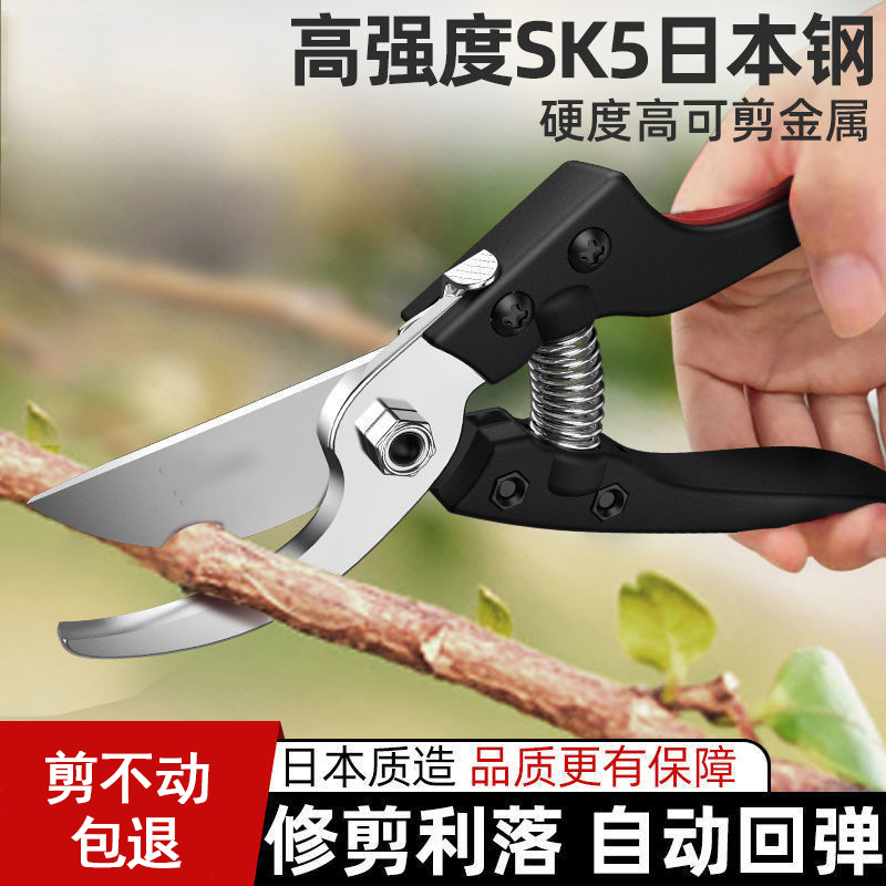 园艺剪枝剪刀省力修枝剪7寸8寸9寸家用果树花卉快速修理剪刀