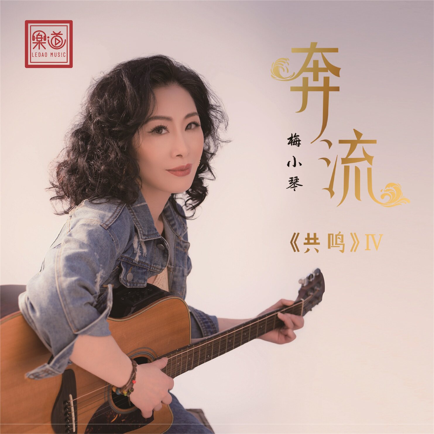 梅小琴《奔流》车载U盘/DSD/HQ/HQII/1:1直刻 CD/LP大黑胶