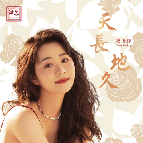 杨乐婷《天长地久》车载U盘/DSD/HQ/HQII/24K金碟/1:1直刻 CD/LP