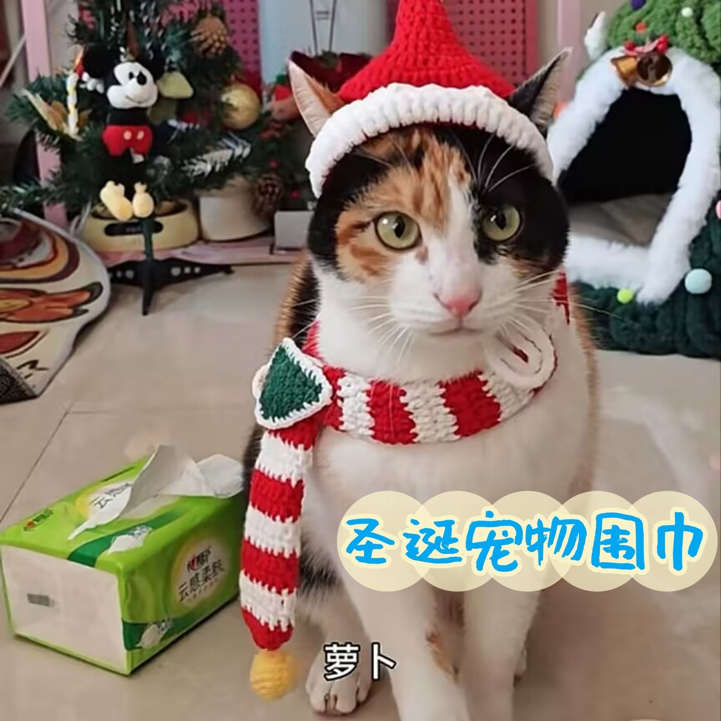圣诞节宠物猫狗围脖帽子手工编织圣诞树装饰礼物项圈diy材料包,服饰配件/皮带/帽子/围巾,DIY编织材料包,淘宝优惠券,粉丝福利购,淘宝优惠卷