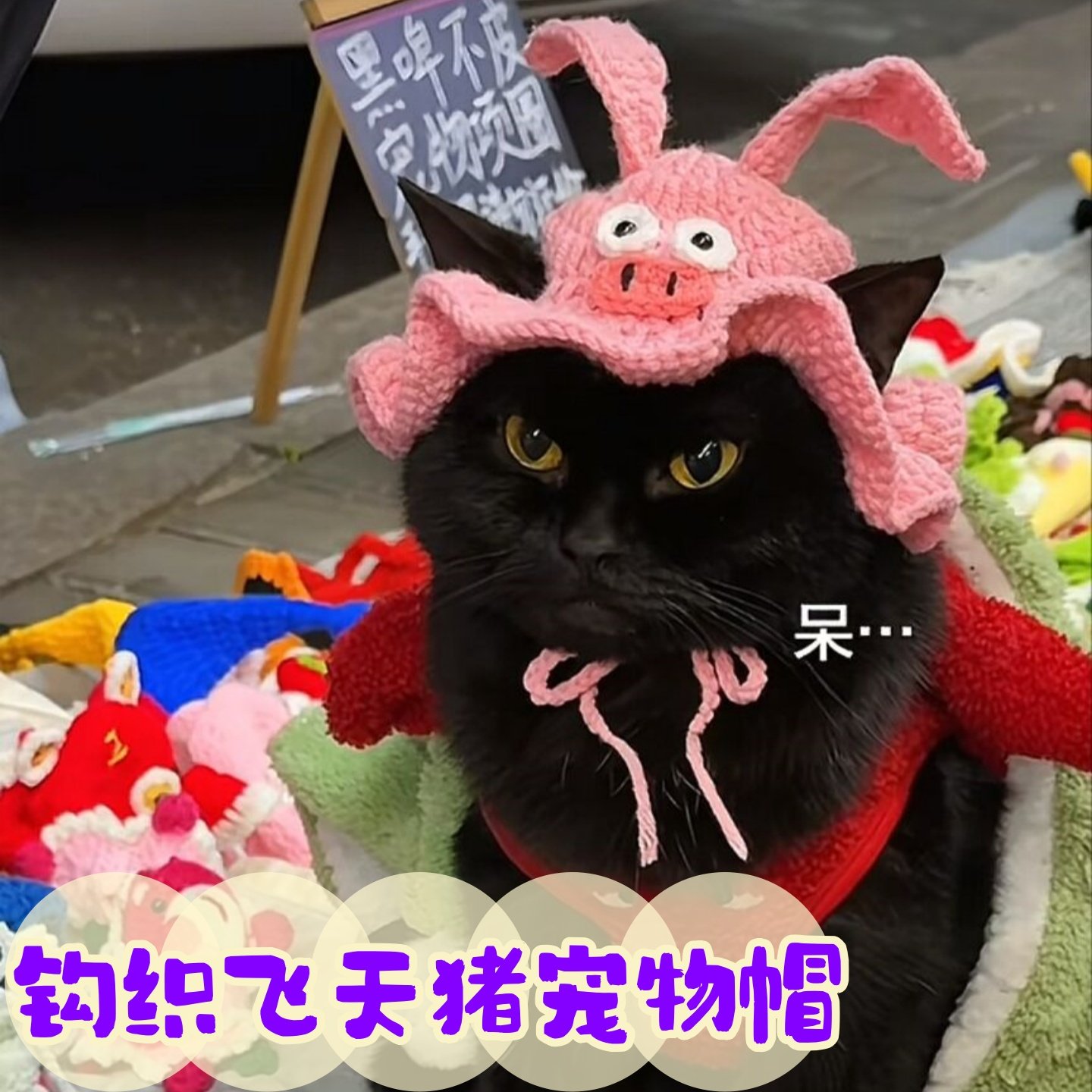手工编织粉红小猪猪猫咪狗狗帽子diy钩织材料包宠物毛线帽子项圈,服饰配件/皮带/帽子/围巾,DIY编织材料包,淘宝优惠券,粉丝福利购,淘宝优惠卷