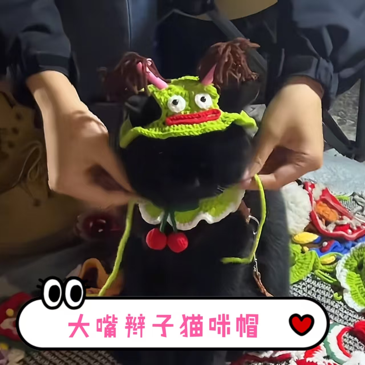 宠物猫咪变装帽丑萌搞怪泰迪帽