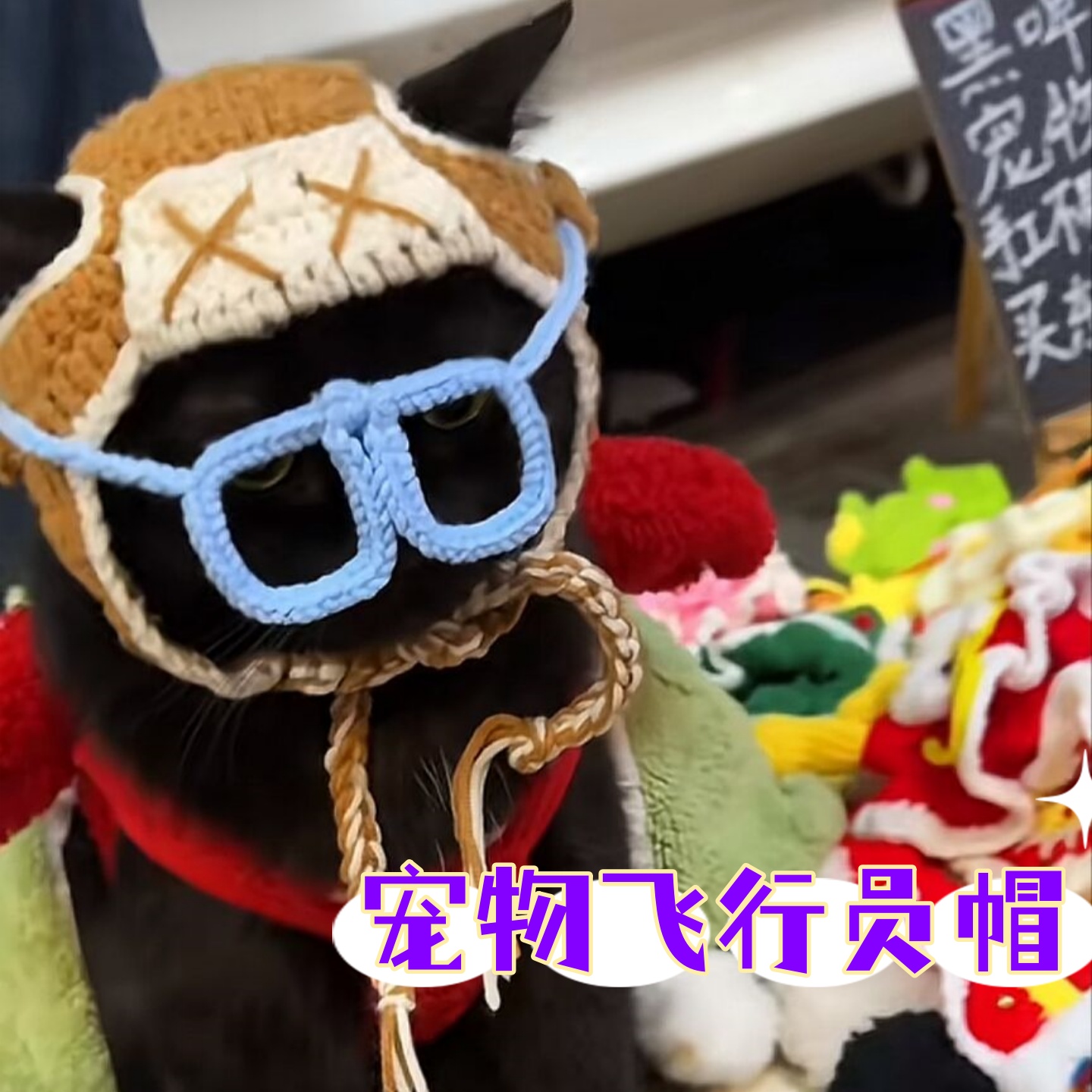 黑皮同款宠物飞行员帽丑萌项圈帽