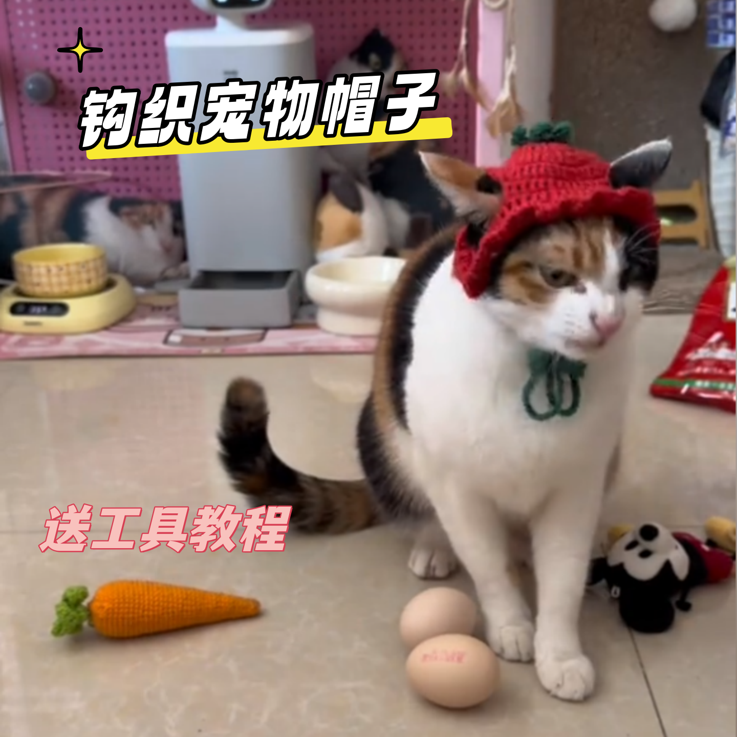 宠物猫帽子变装狗狗头饰拍照道具可爱猫咪头套手工编织毛线装饰品,服饰配件/皮带/帽子/围巾,DIY编织材料包,淘宝优惠券,粉丝福利购,淘宝优惠卷