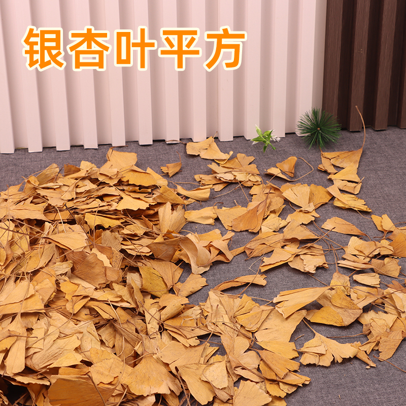 银杏树叶落叶标本秋天树叶真枯叶装饰秋收落叶贴画干树叶手工叶子图片