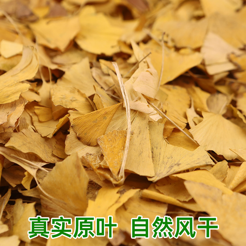 银杏叶铺设场地景观装饰摄影步道