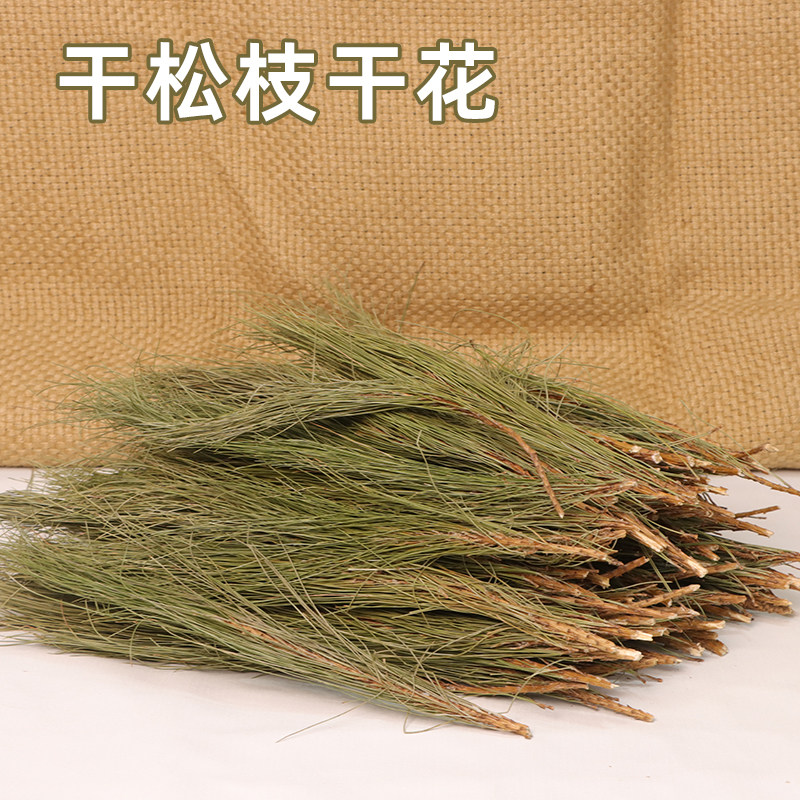 松柏枝叶圣诞松针松枝干花