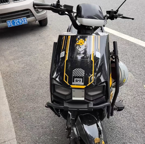 金箭R500乐行自由行民隆大牛八代D款电动车巨龙新大洲格林豪泰吉