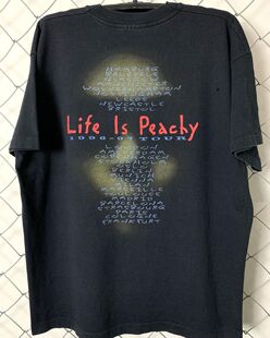 Peachy海报vintage水洗短袖 T恤 Korn摇滚乐队1996专辑Life
