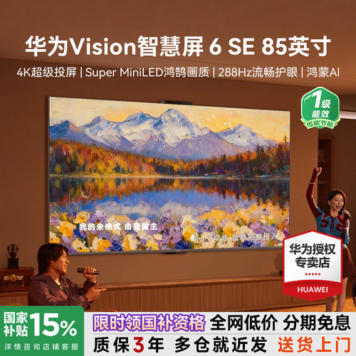 咨询选配安装！Vision6SE