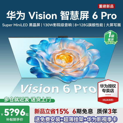 包安装+超薄挂架！Vision6Pro