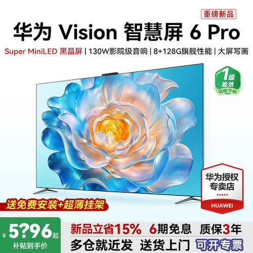 包安装+超薄挂架！Vision6Pro