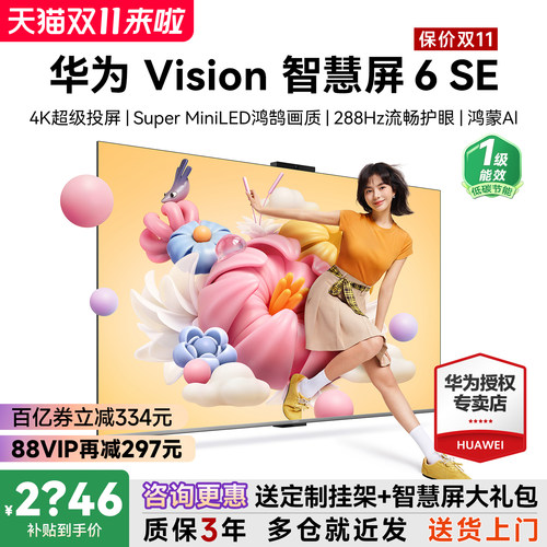 咨询送安装！Vision6SE