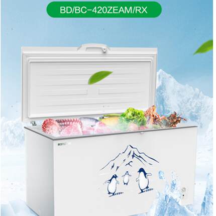 容声BD/BC-420ZEAM/RX卧式顶开一级能效减霜冷冻冷藏带锁冷柜冰箱