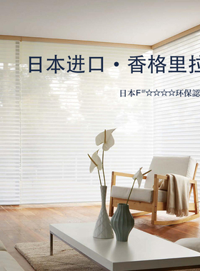 TOSO东装定制香格里拉帘柔纱拉珠纱布百叶窗客厅书房