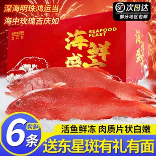 东海海鲜大礼包深海东星斑年货礼盒鲜活冷冻新鲜燕尾斑过年送礼