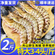 舟山野生竹节虾特大鲜活斑节虾海捕九节虾新鲜速冻大虾超大基围虾