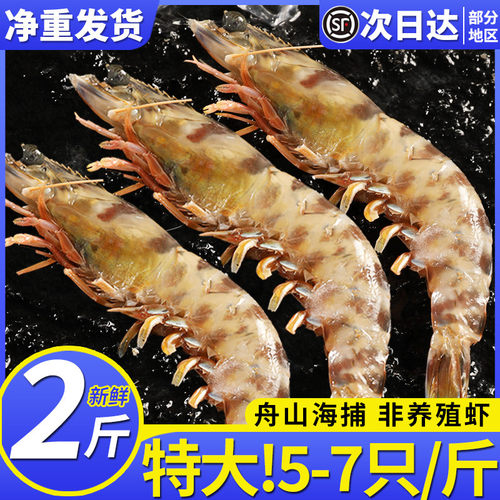 2斤竹节虾鲜活海捕特大斑节虾