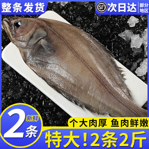 鲽鱼整条1斤深海碟鱼鸦片鱼