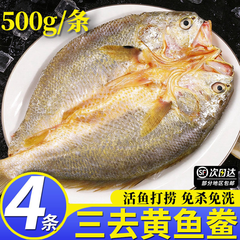 特大黄鱼鲞新鲜冷冻黄花鱼三去大黄鱼鲜活开背黄鱼霞浦宁德福建