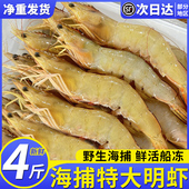 香蕉虾特大鲜活速冻明虾对虾新鲜大虾青虾冷冻超大白虾海鲜水产