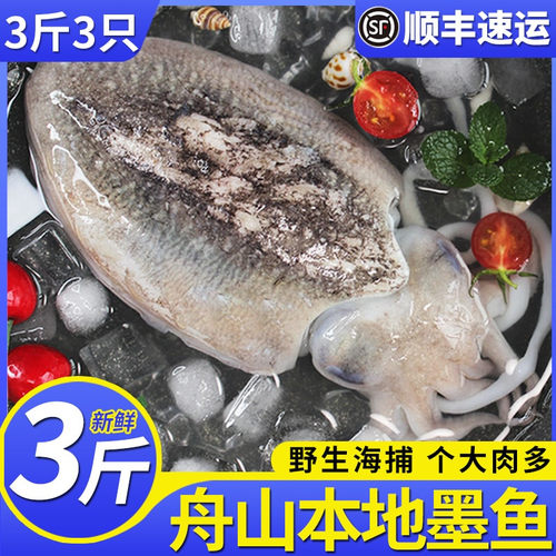 舟山海捕本地墨鱼当季新捕3斤装