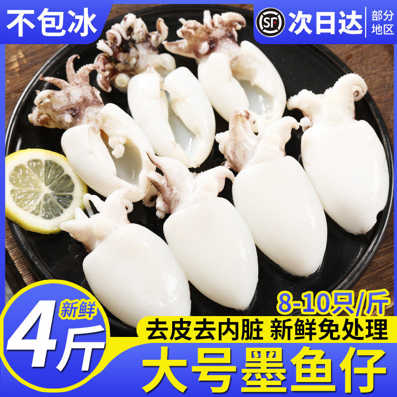 生鲜墨鱼仔新鲜冷冻鲜活小墨鱼去皮去内脏捞汁目鱼乌贼海鲜商用