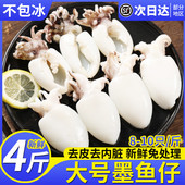 生鲜墨鱼仔新鲜冷冻鲜活小墨鱼去皮去内脏捞汁目鱼乌贼海鲜商用