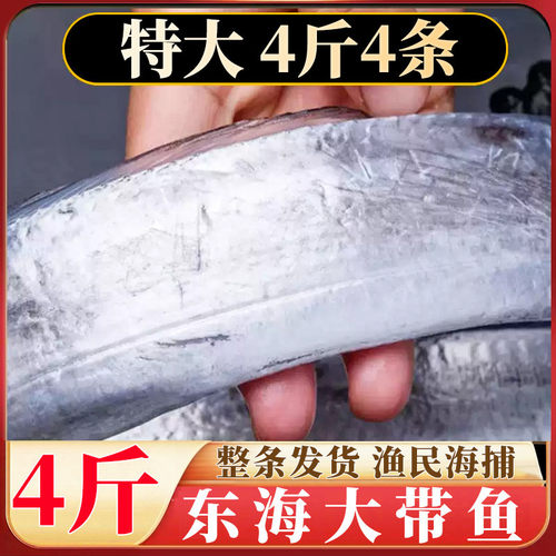 真正四指宽舟山带鱼净重4斤整条