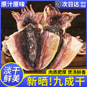 新货淡晒墨鱼干海鲜干货目鱼干东海乌贼淡干墨鱼排骨煲汤特大级