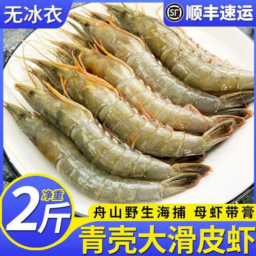 舟山滑皮虾海捕条虾剑虾硬壳虾